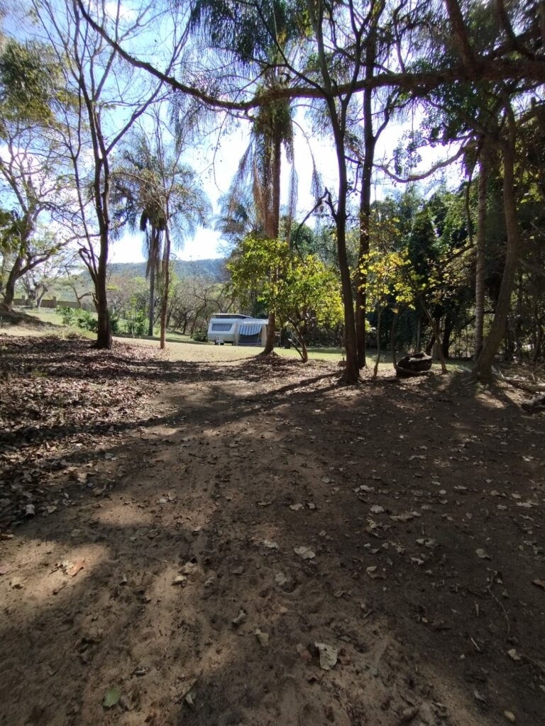 IMG 20230810 WA0142 768x1024